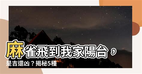 鳥飛入屋|【鳥飛進家裡代表什麼】鳥飛進家裡暗示什麼？驚人預兆揭露！